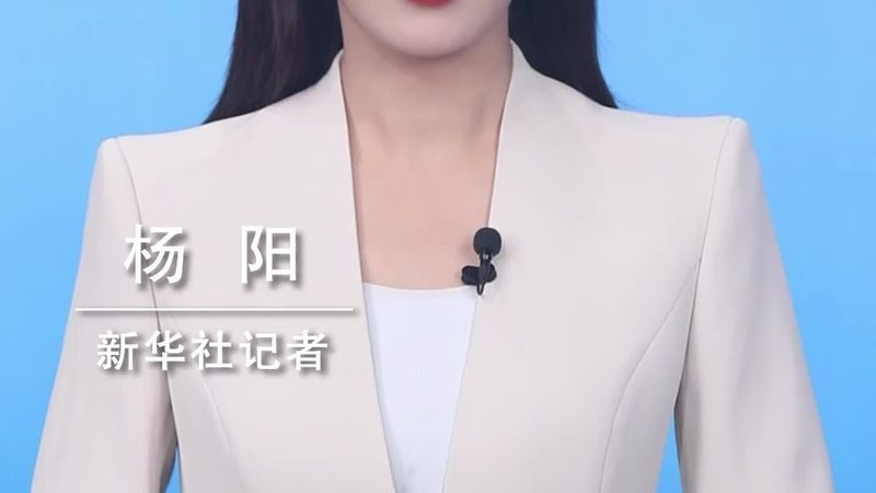 金融大数据分析平台：功能对比与关键考量